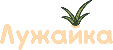 "Лужайка"