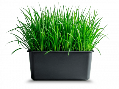 grass_with_shadow